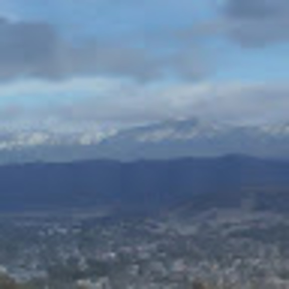 Meet your Posher, David - Picture 1 of 1